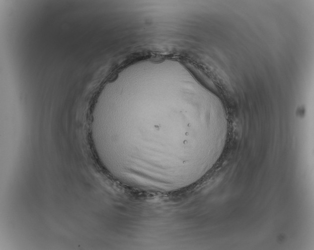 X0000097650961200803211852