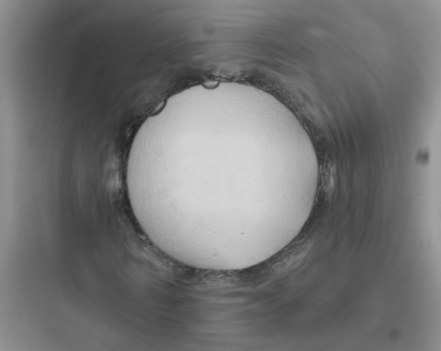 X0000097650962200803211852