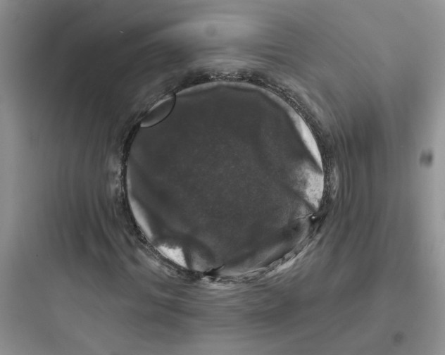 X0000097650964200803211852