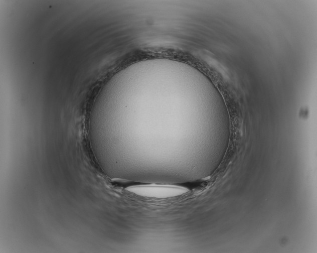 X0000097650965200803211852