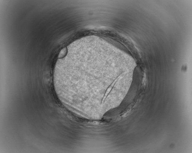 X0000097650966200803211852