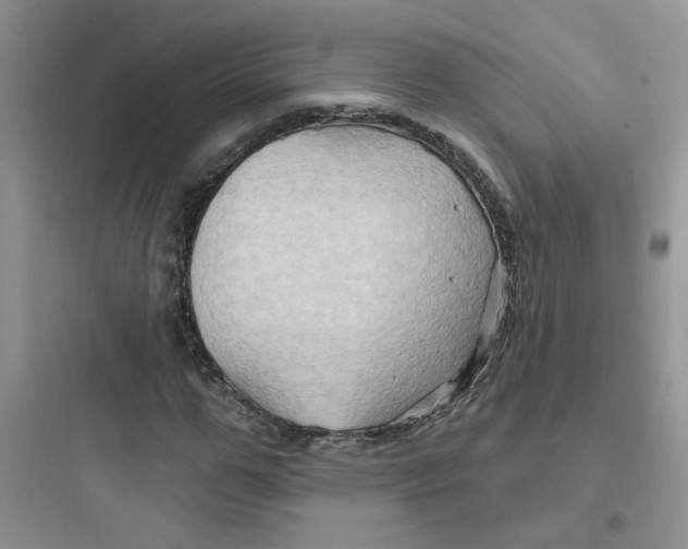 X0000097650967200803211852