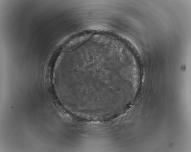 X0000097650968200803211852