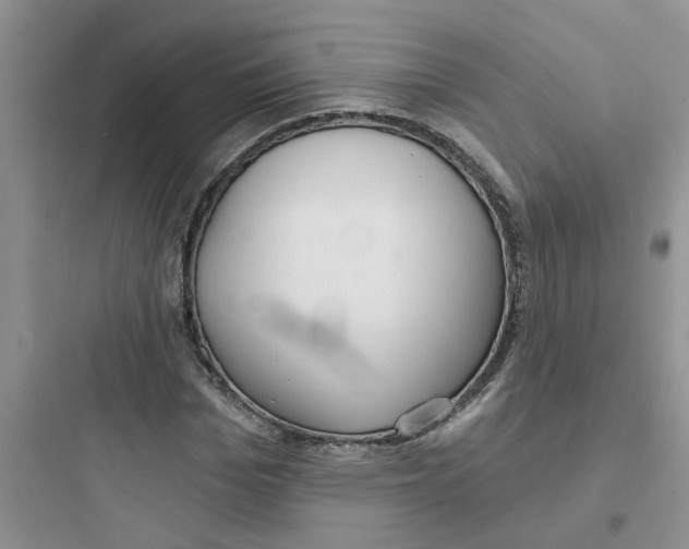 X0000097650969200803211852