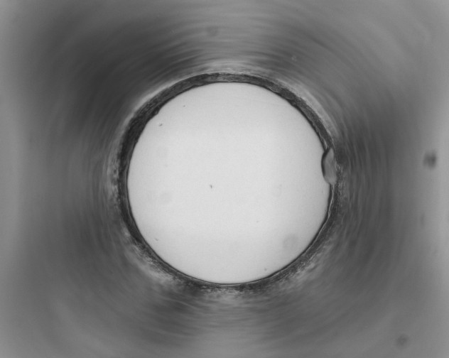 X0000097650971200803211852