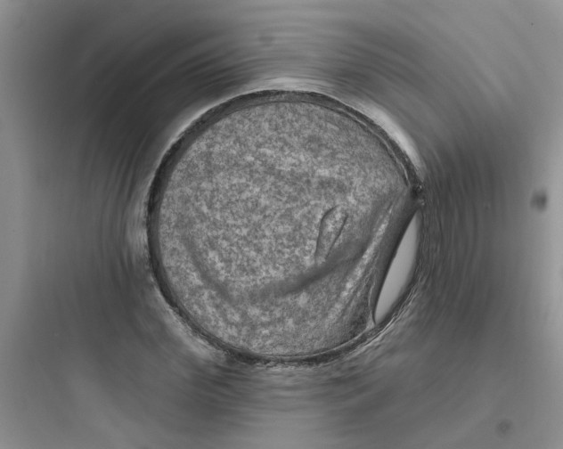 X0000097650972200803211852