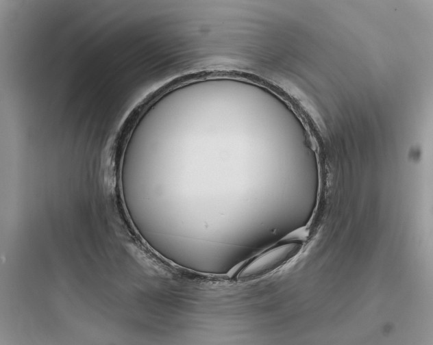 X0000097650973200803211852