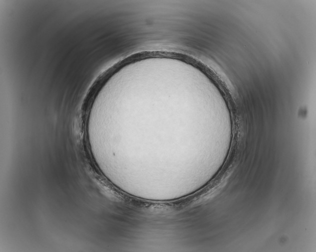 X0000097650974200803211852