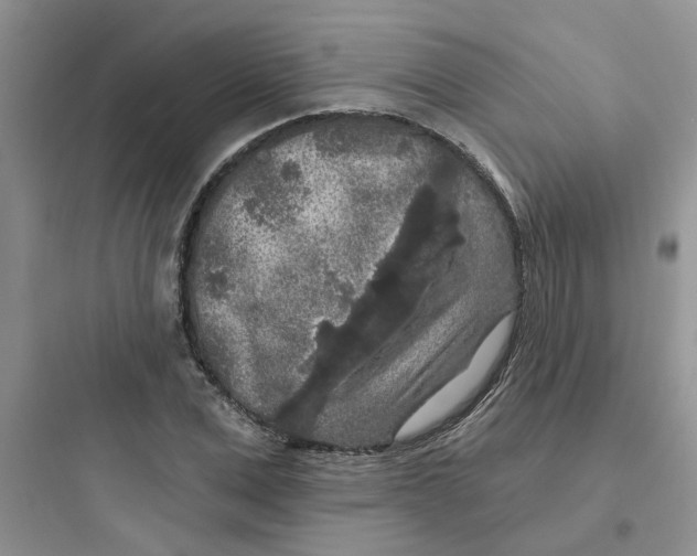 X0000097650975200803211852