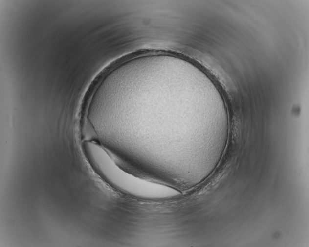 X0000097650976200803211852