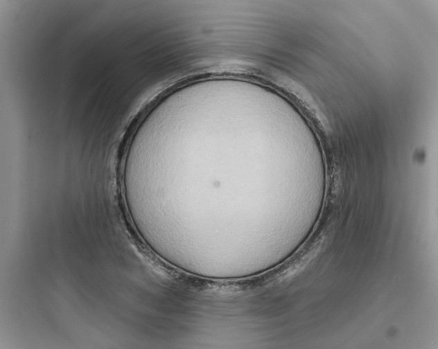 X0000097650978200803211852