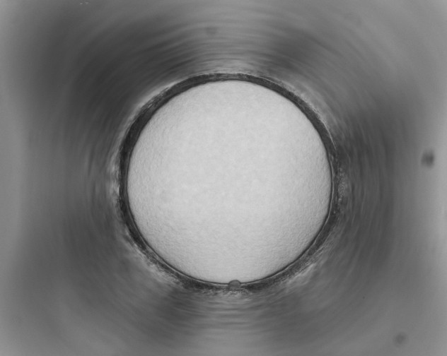 X0000097650979200803211852