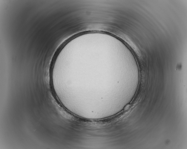 X0000097650980200803211852