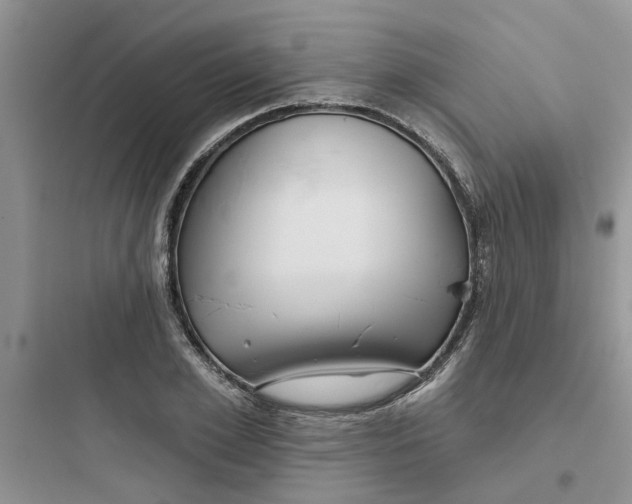 X0000097650981200803211852