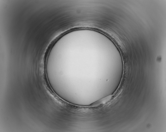 X0000097650982200803211852