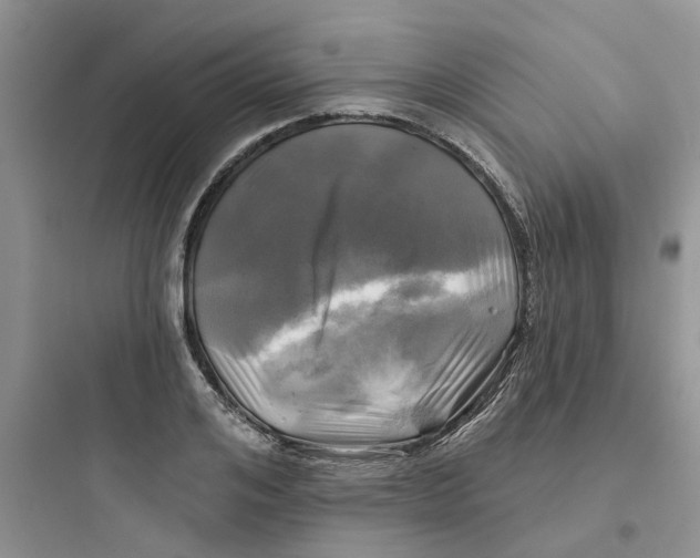 X0000097650984200803211852