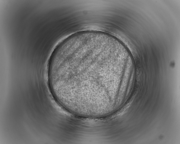 X0000097650987200803211852