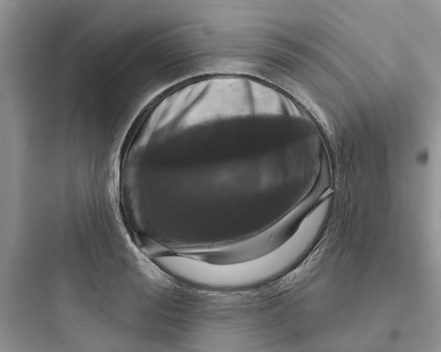 X0000097650988200803211852