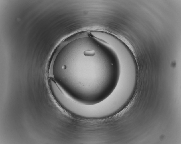 X0000097650989200803211852