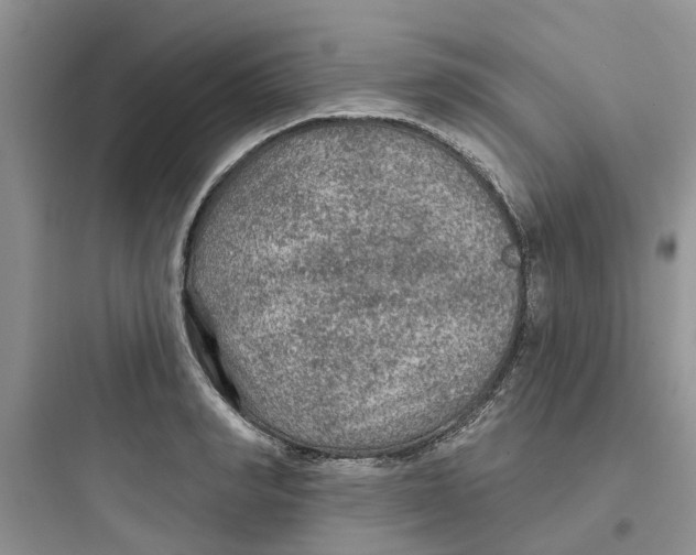 X0000097650990200803211852