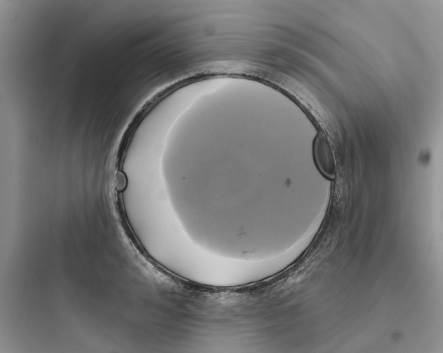 X0000097650992200803211852