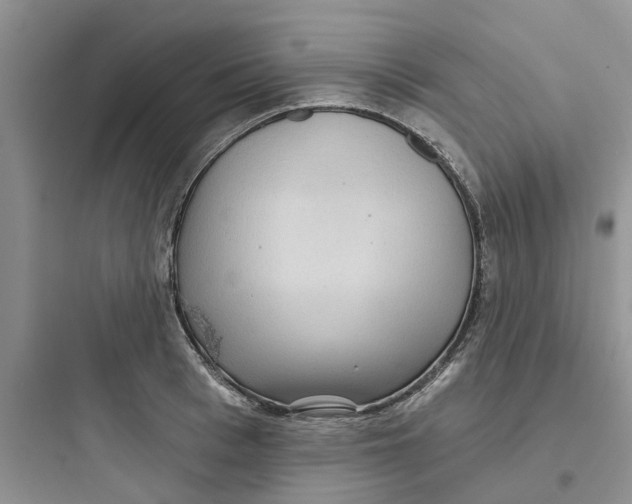 X0000097650993200803211852