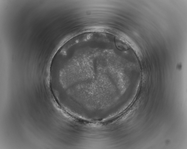 X0000097650994200803211852