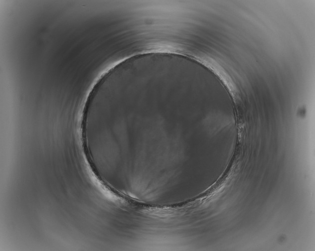 X0000097650995200803211852