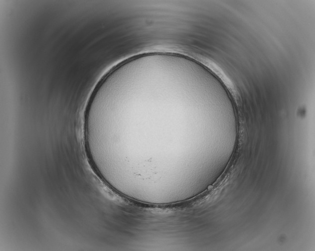 X0000097650996200803211852