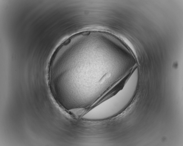 X0000097650997200803211852