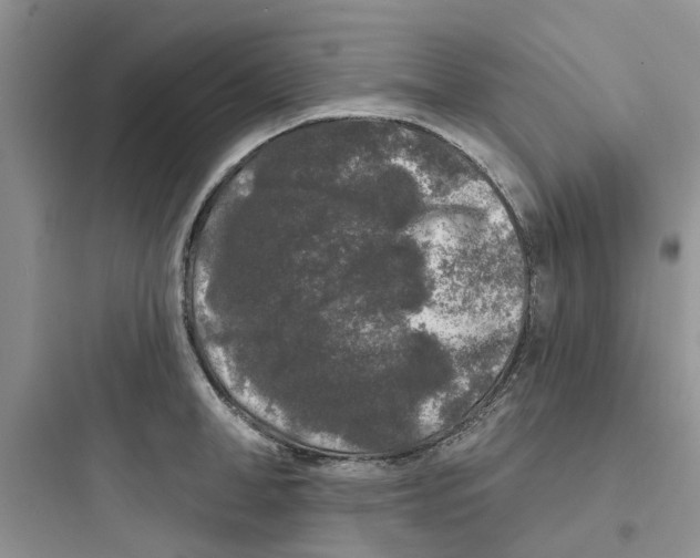 X0000097650998200803211852