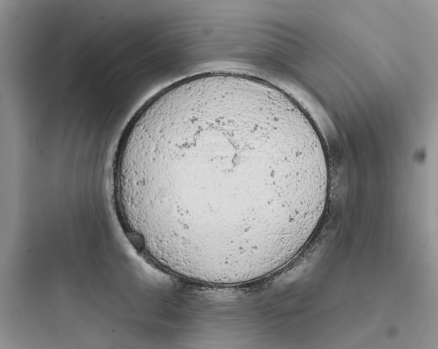 X0000097650999200803211852