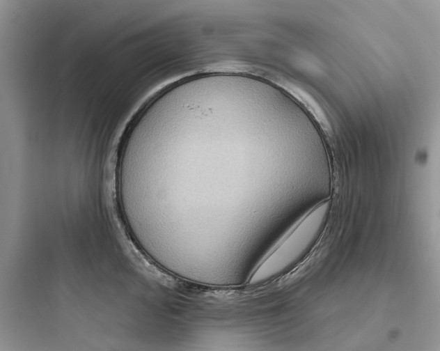 X0000097651000200803211852