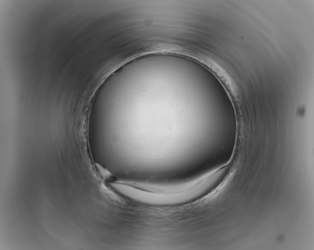 X0000097651001200803211852