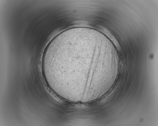 X0000097651002200803211852