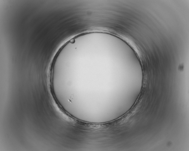 X0000097651003200803211852