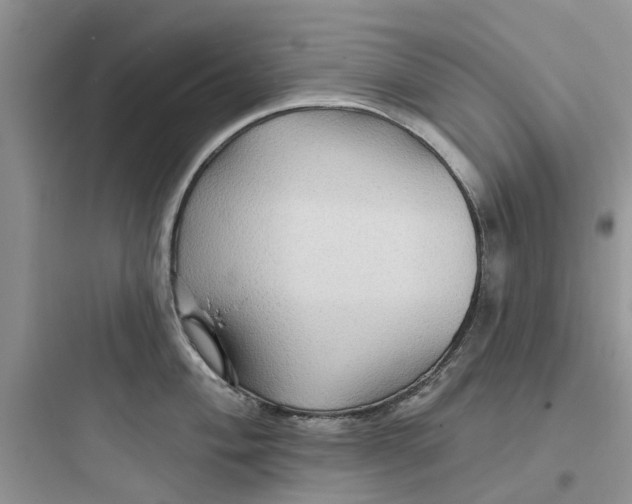 X0000097651004200803211852