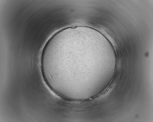 X0000097651005200803211852