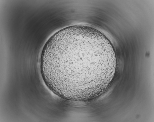 X0000097651007200803211851