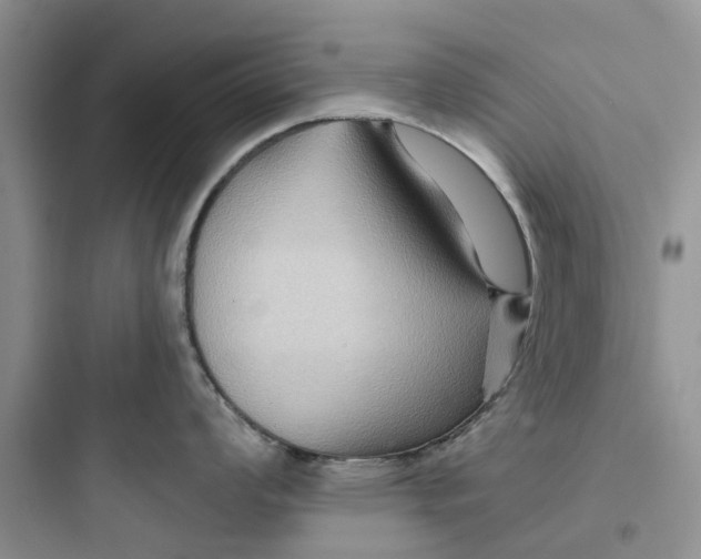 X0000097651008200803211851