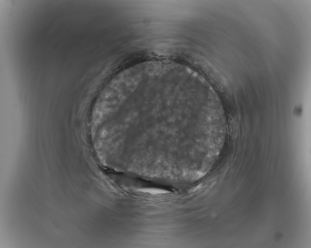 X0000097651009200803211850