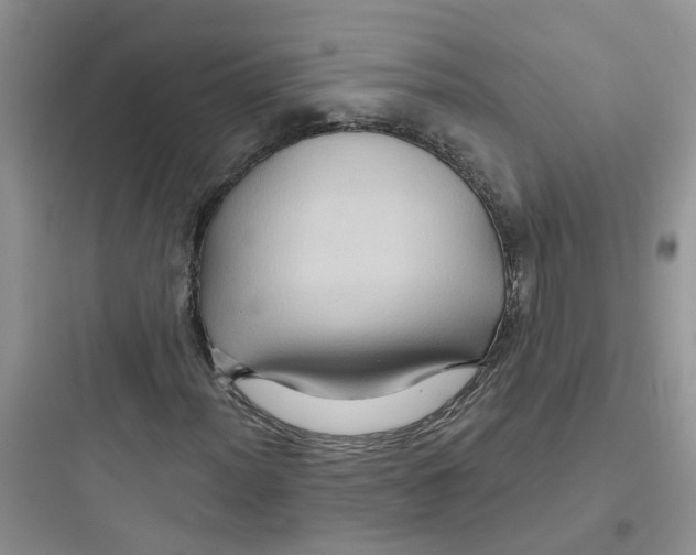 X0000097651012200803211851