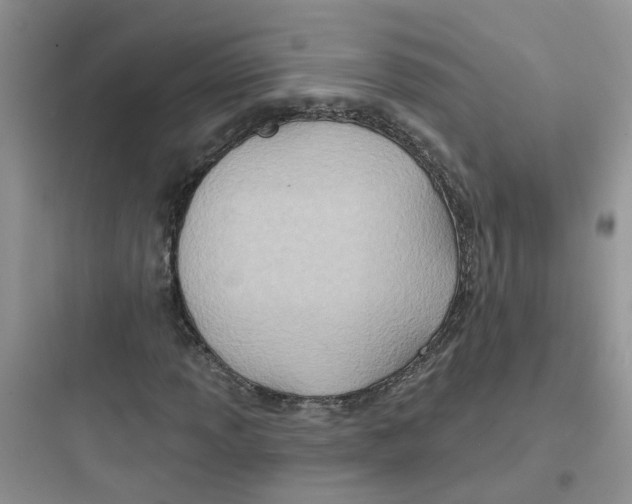 X0000097651013200803211851