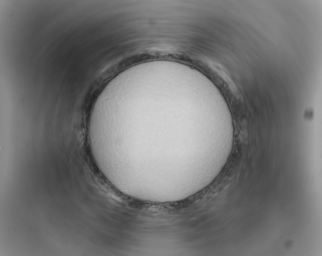 X0000097651015200803211851