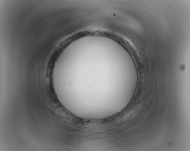 X0000097651016200803211851