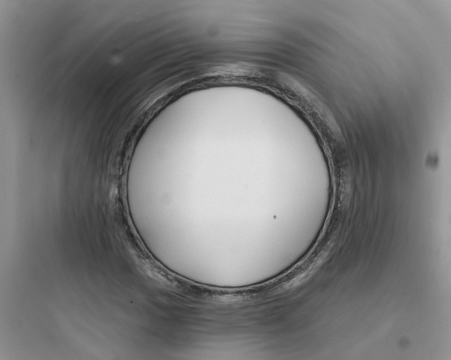 X0000097651017200803211851