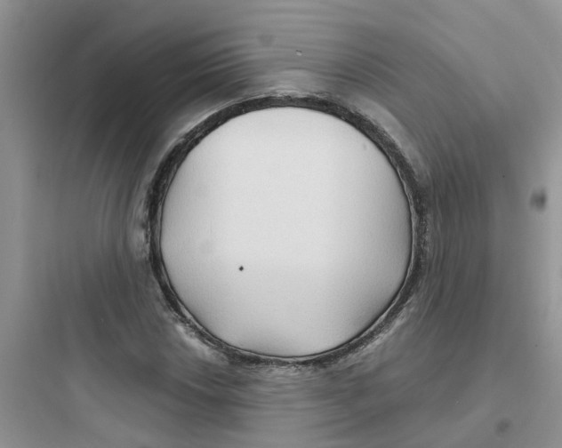 X0000097651018200803211851