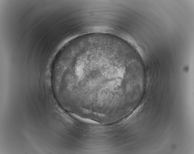 X0000097651019200803211851