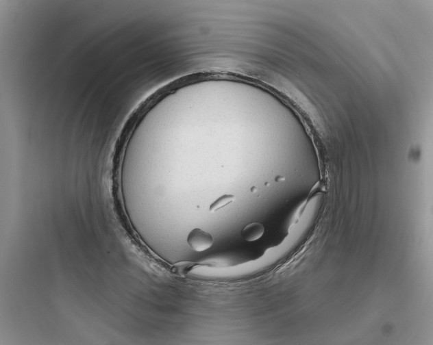 X0000097651020200803211851