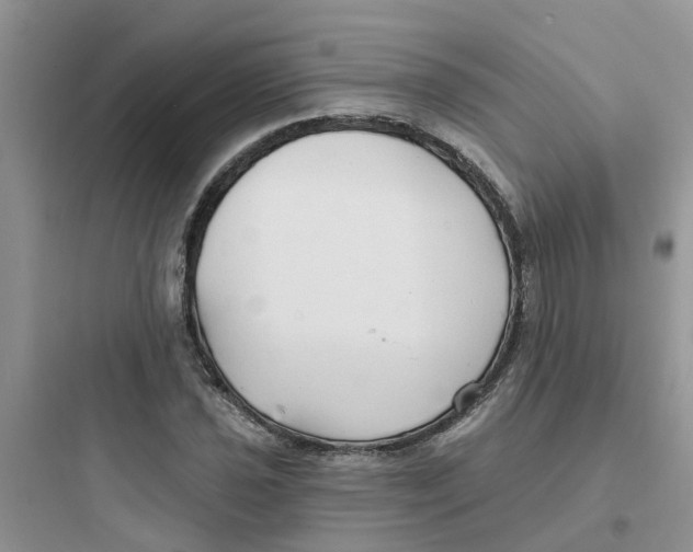 X0000097651021200803211851